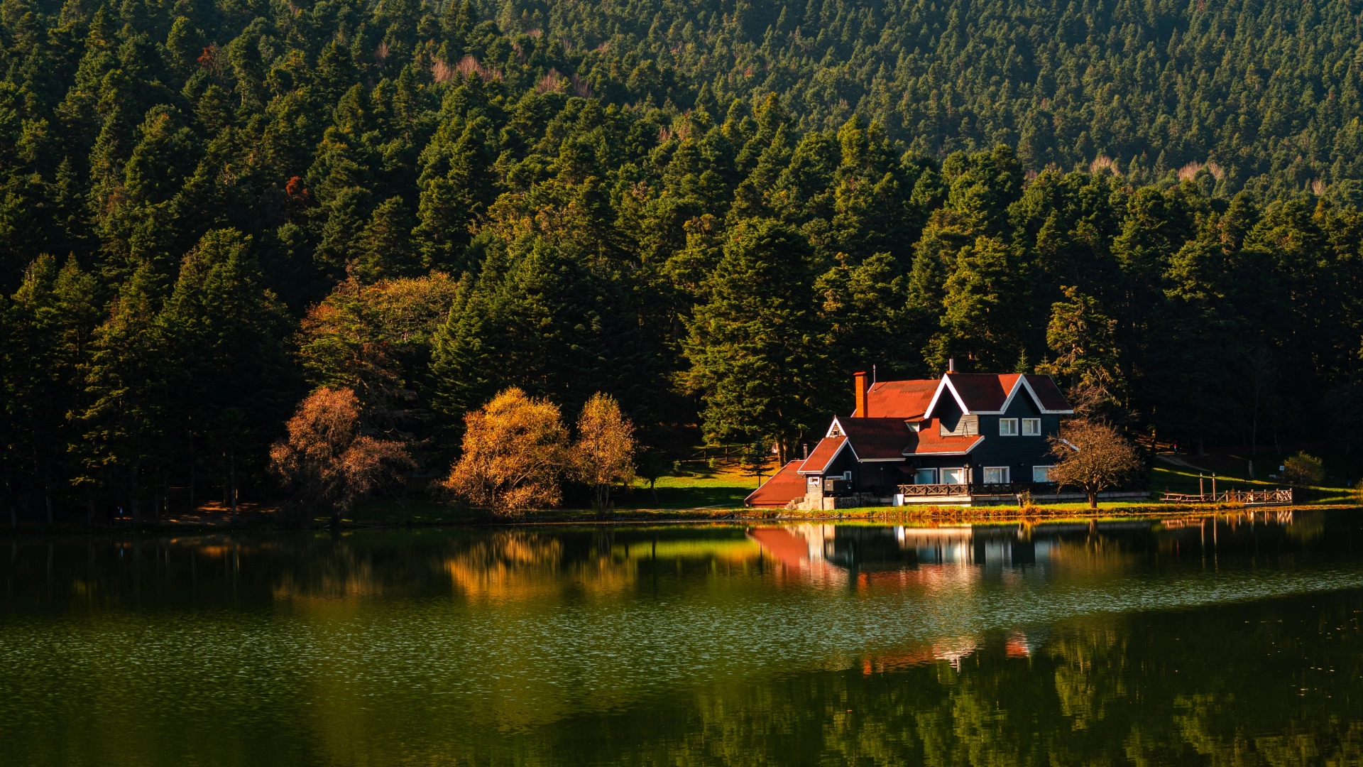 Casă frumoasă lângă un lac, înconjurată de pădure